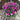 Spring Combo Baskets and Porch Pots