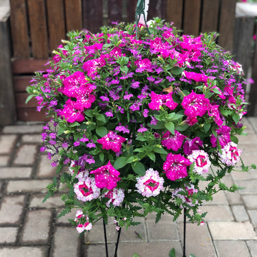 Spring Combo Baskets and Porch Pots