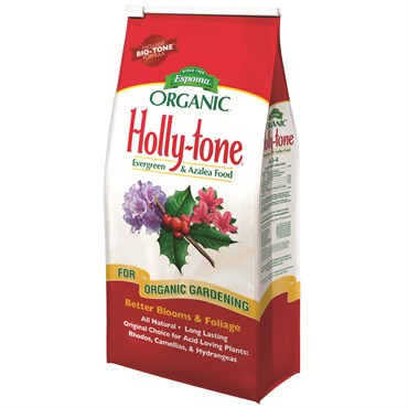 Holly Tone 8#