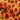 Chrysanthemum, Orange