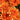 Chrysanthemum, Orange