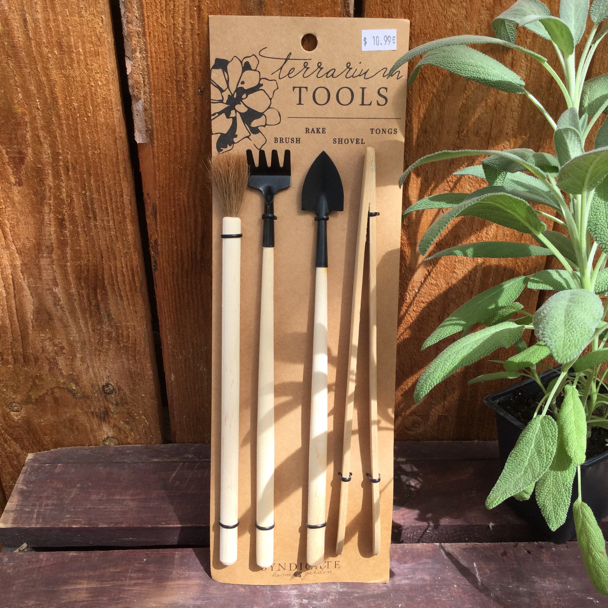 terrarium planting tools Terrarium Tools – Joe Cappel's Garden Center