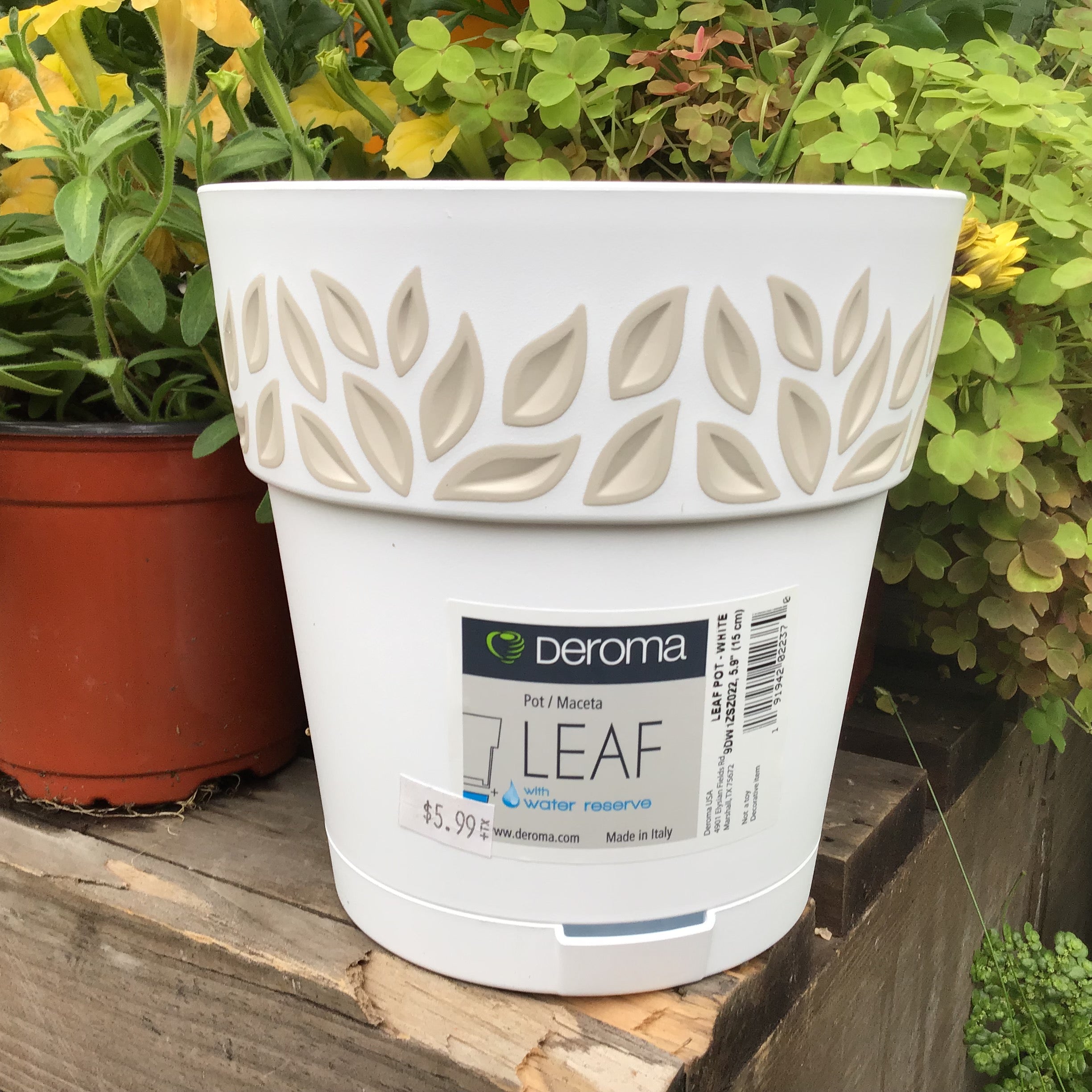 deroma plant pots Deroma Leaf Pot – Joe Cappel's Garden Center