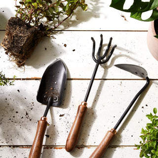 Garden Tools and Accessories