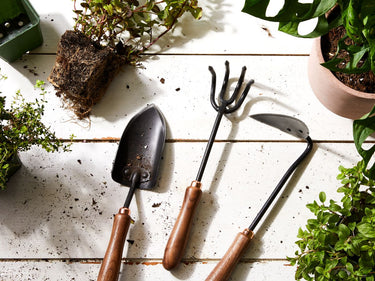 Garden Tools and Accessories