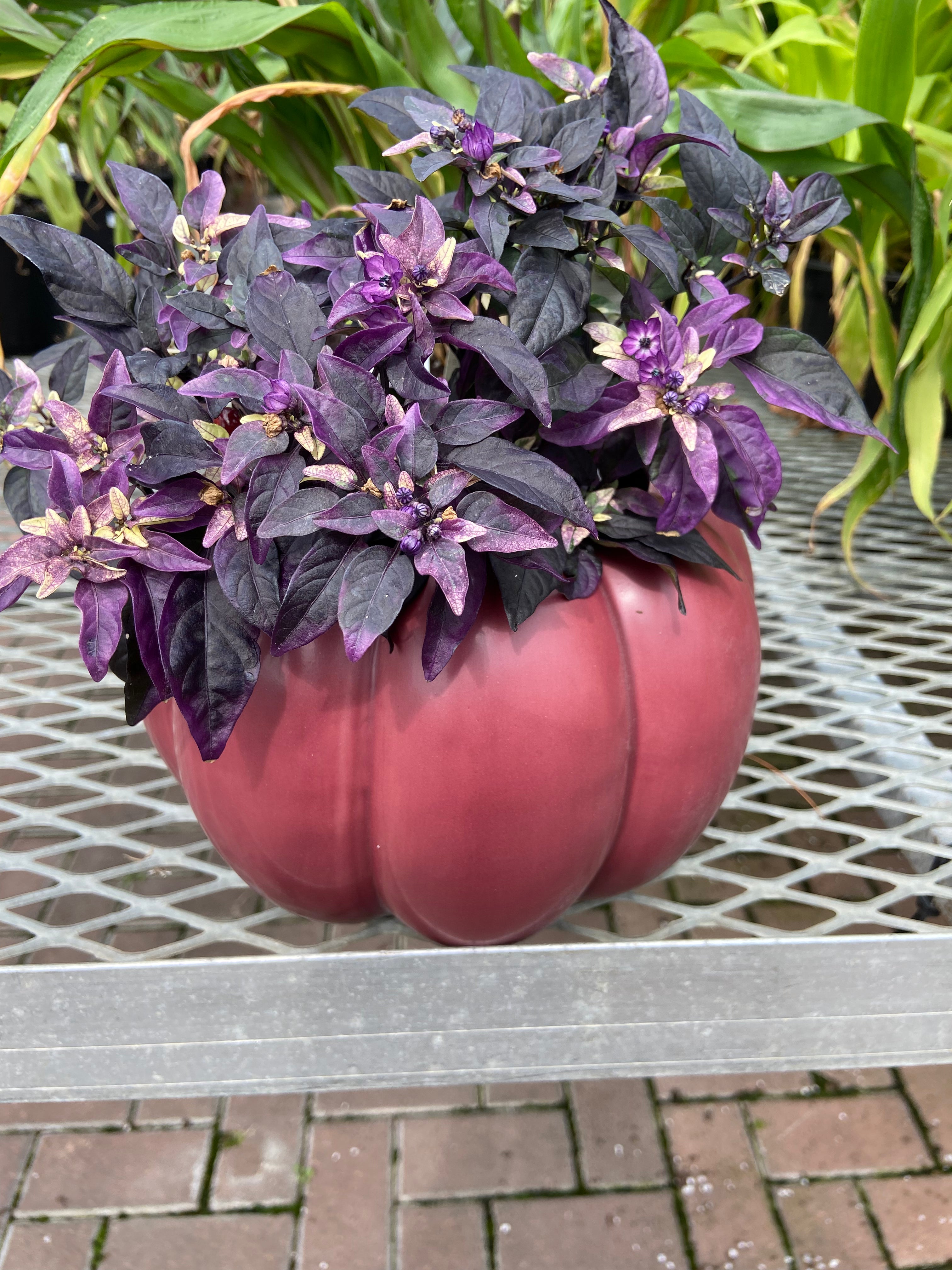 4.5" Ceramic Pumpkin Planter