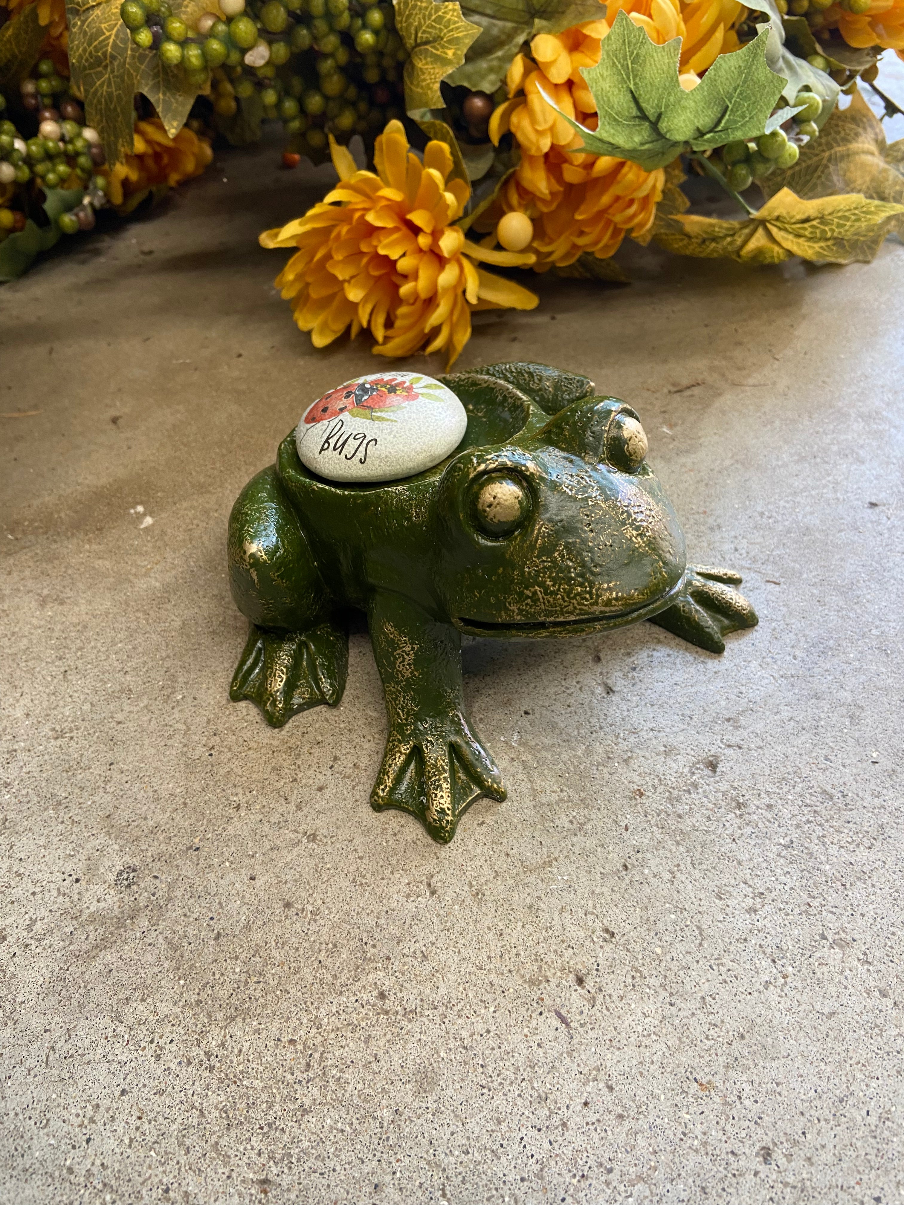 Frog Art Rock Holder