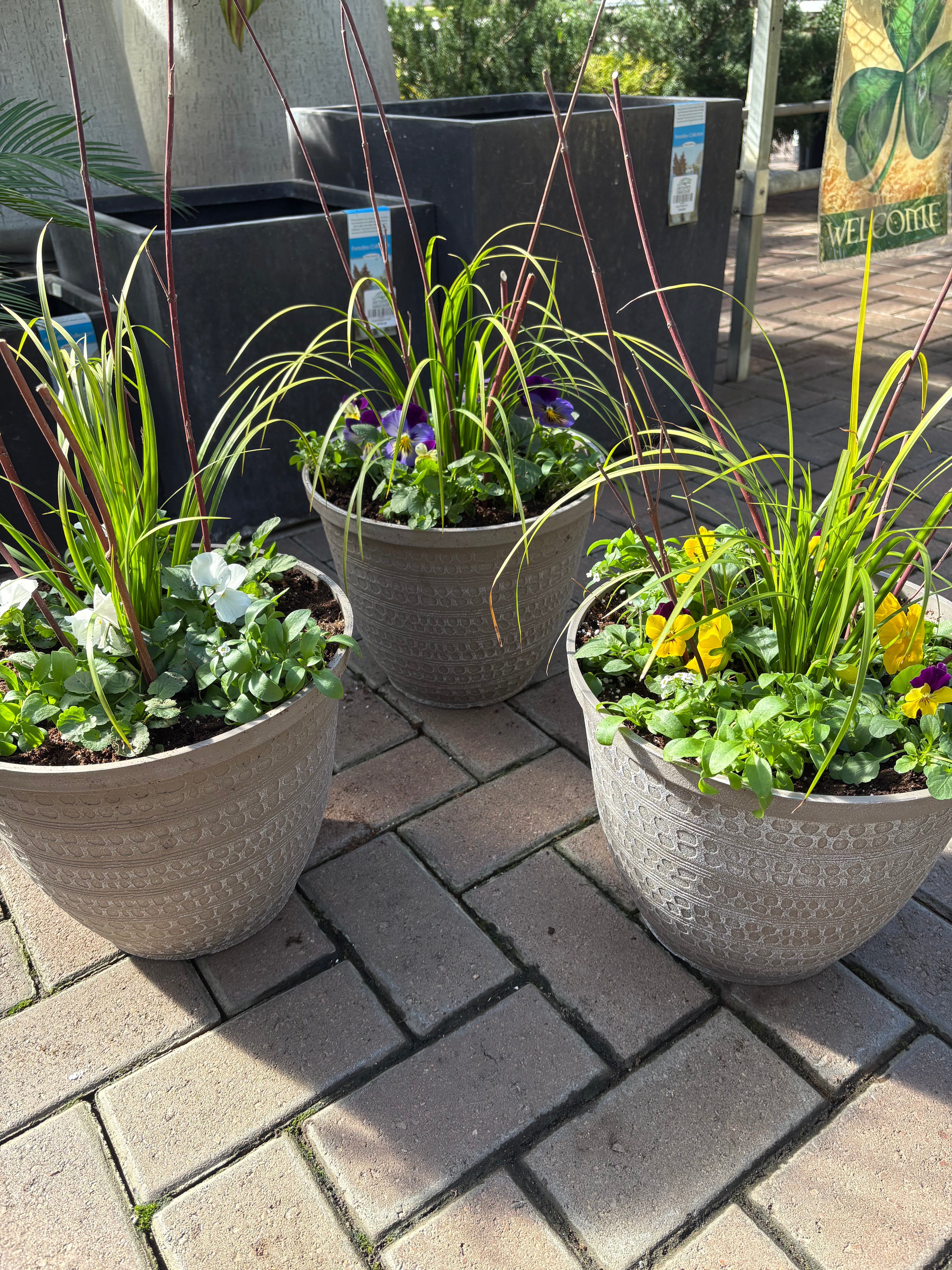 Early Spring Porch Pot