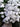 Phlox s. White Delight