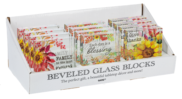Beveled Glass Blocks
