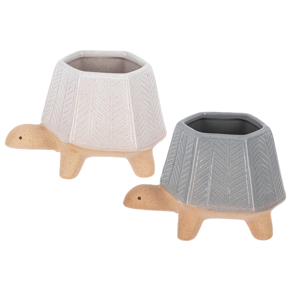 Embossed Turtle Planter – Joe Cappel’s Garden Center