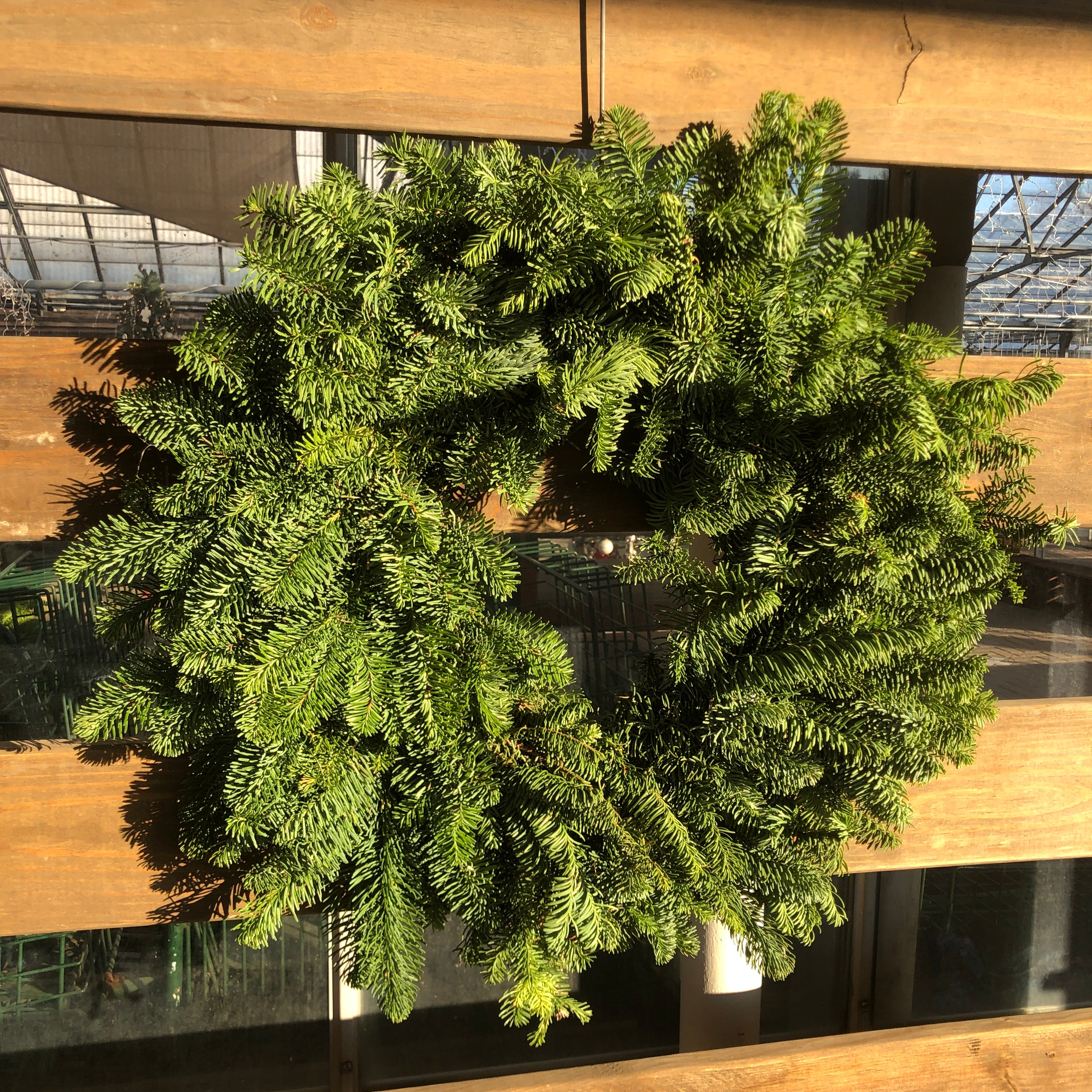 24" Fresh Noble Wreath