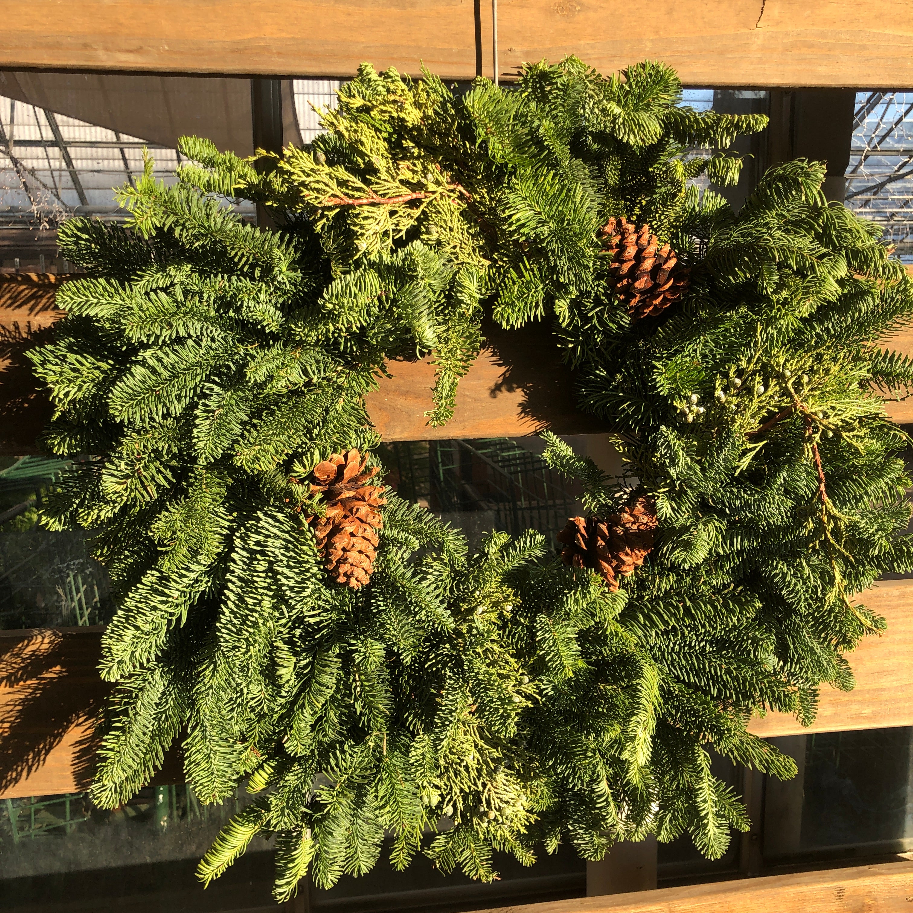 24" Fresh Noble Wreath