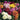 Ranunculus