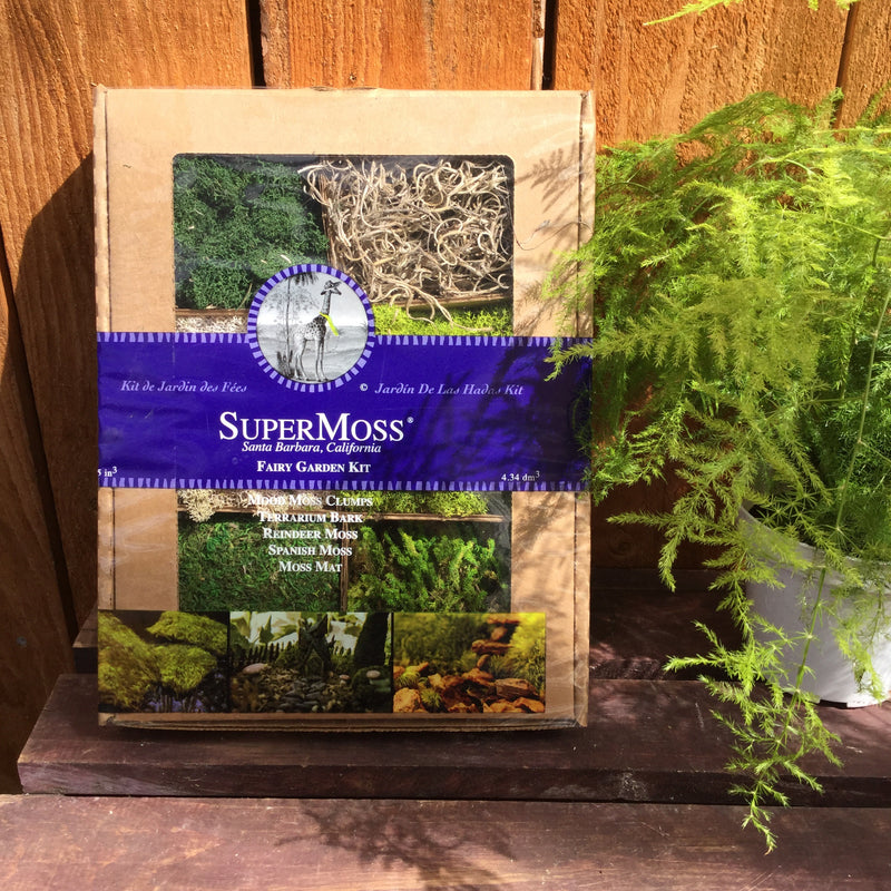 Super Moss Fairy Garden Kit