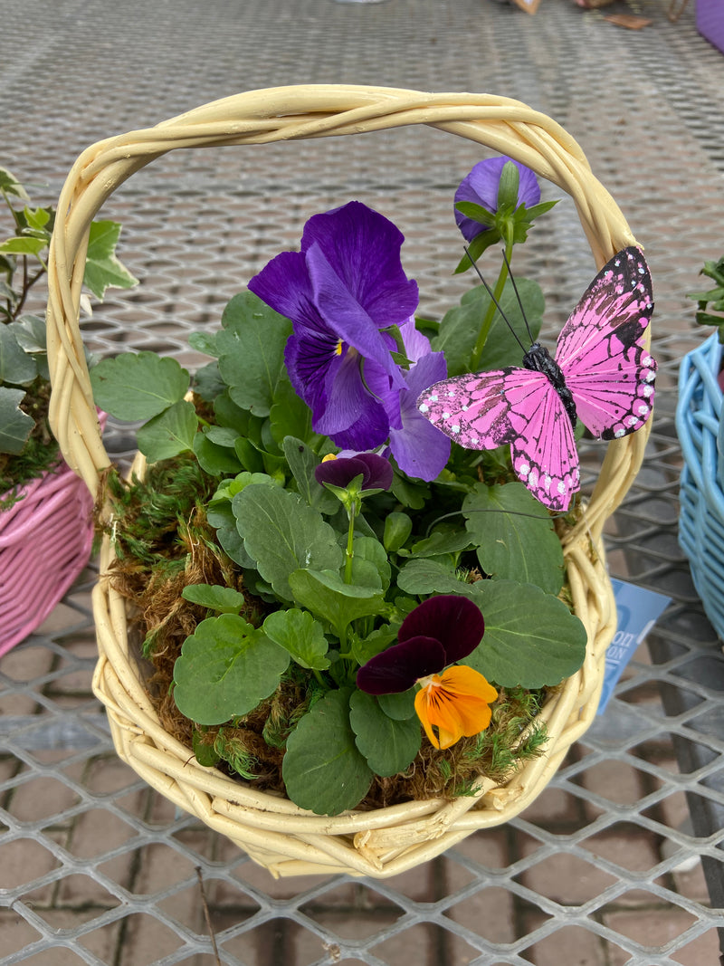 Planted Easter Baskets