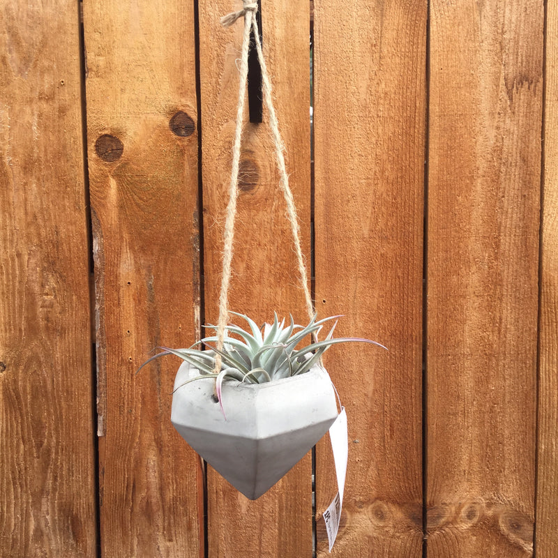 Unfinished Cement Hanging Vessel