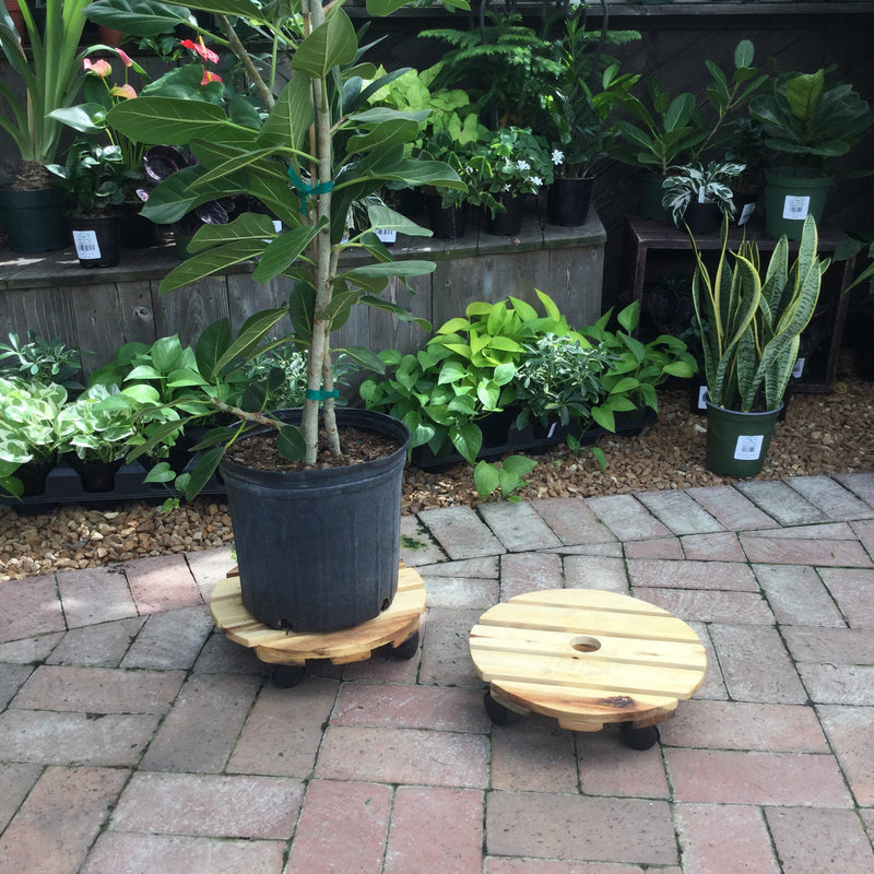 12” Round Plant Stand With Wheels