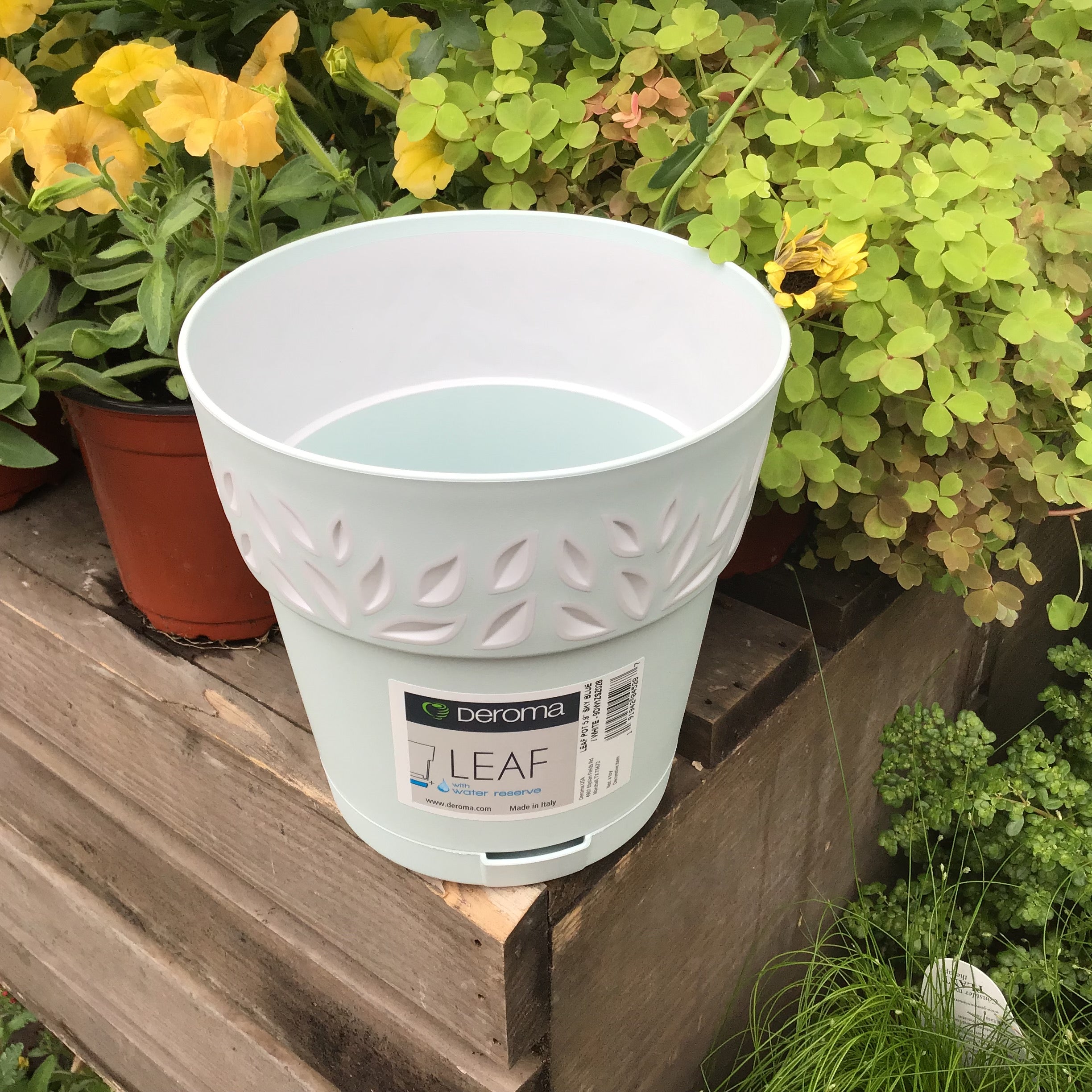 deroma plant pots Deroma Leaf Pot – Joe Cappel's Garden Center