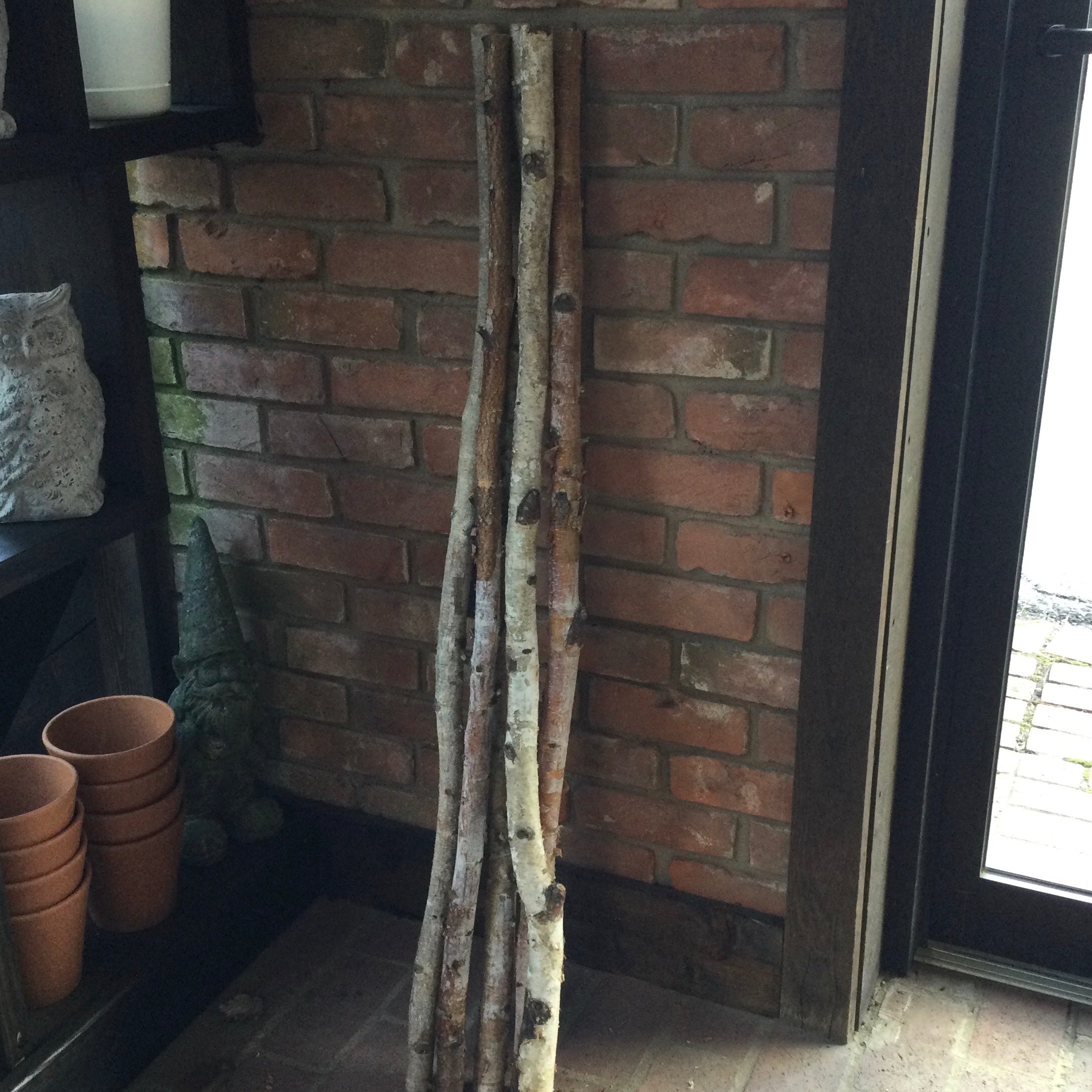 Birch Pole