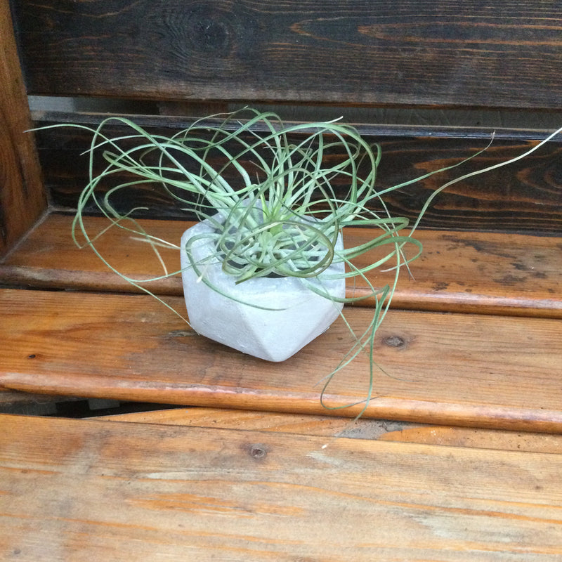 3” Cement Vessel