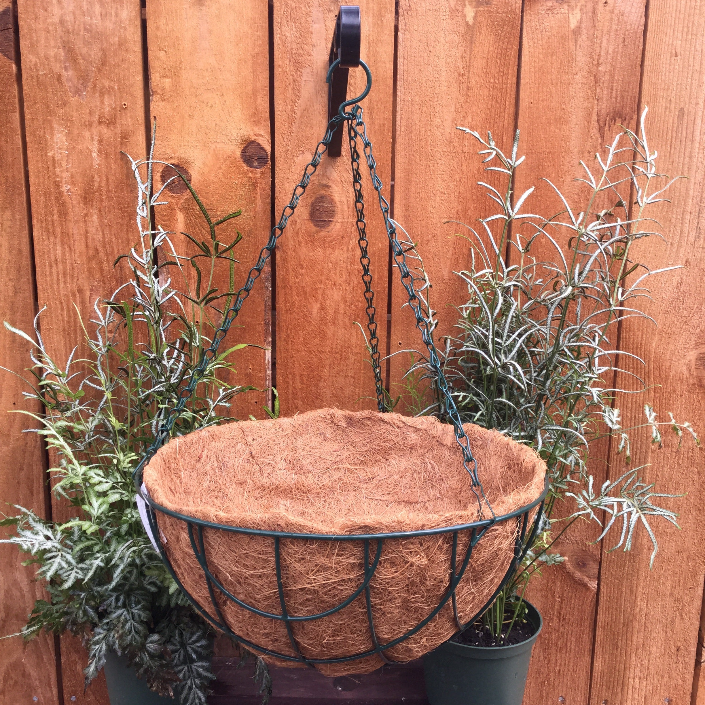 14” Coco Liner Hanging Basket