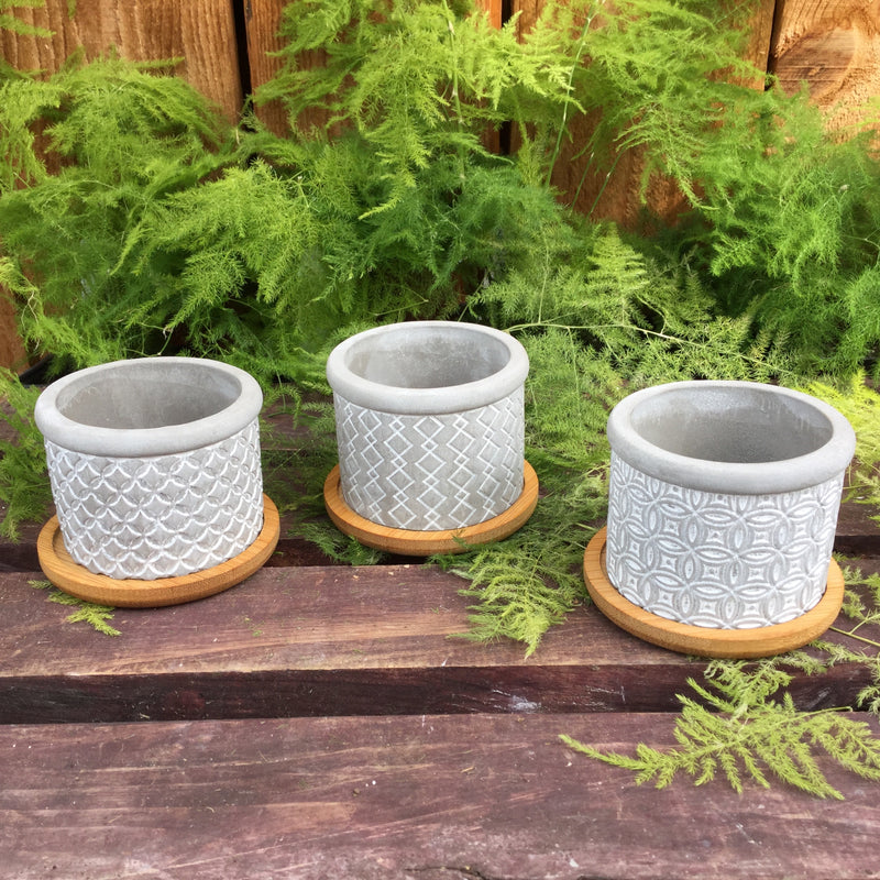 Concrete Pot With Tray