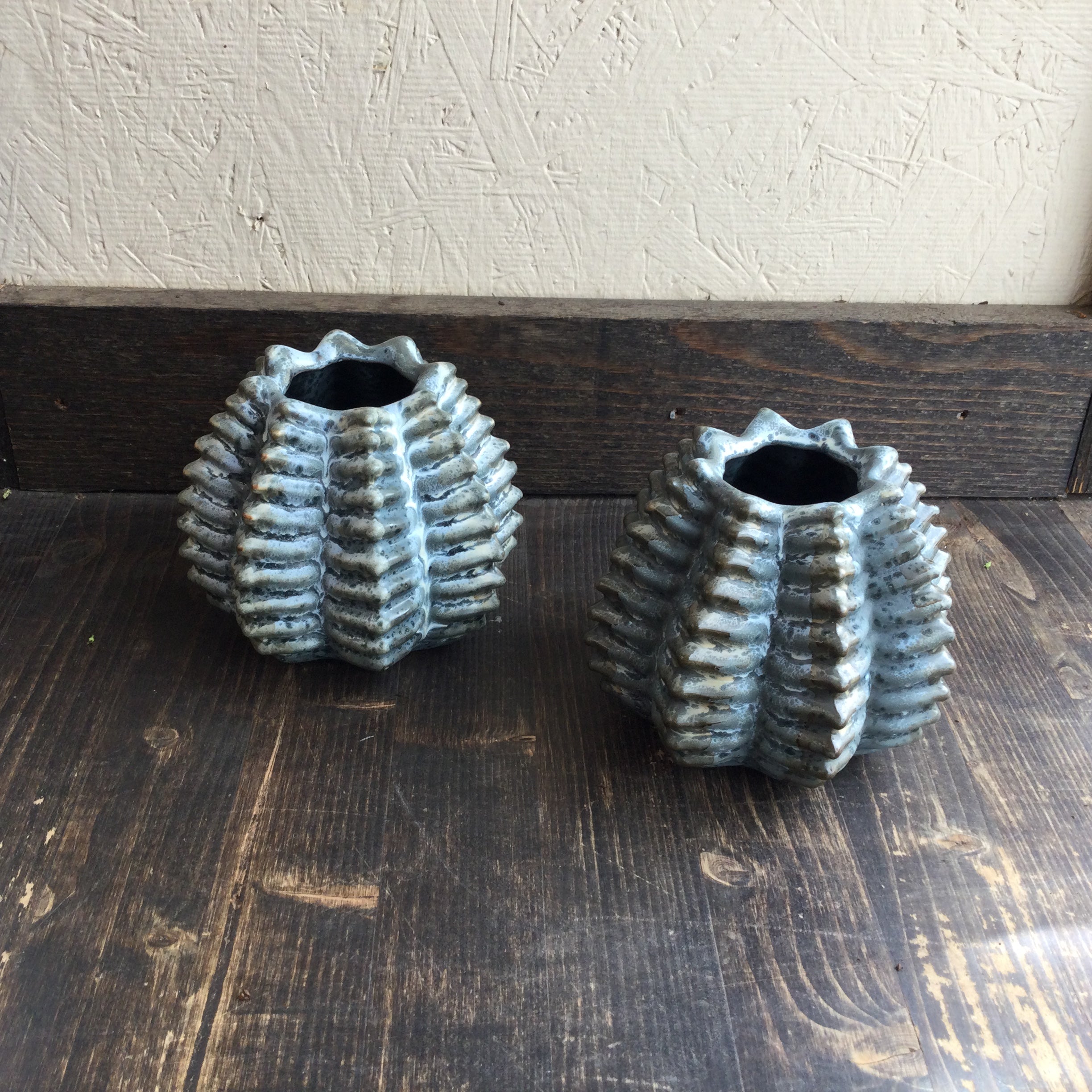 Ceramic Spike Pot