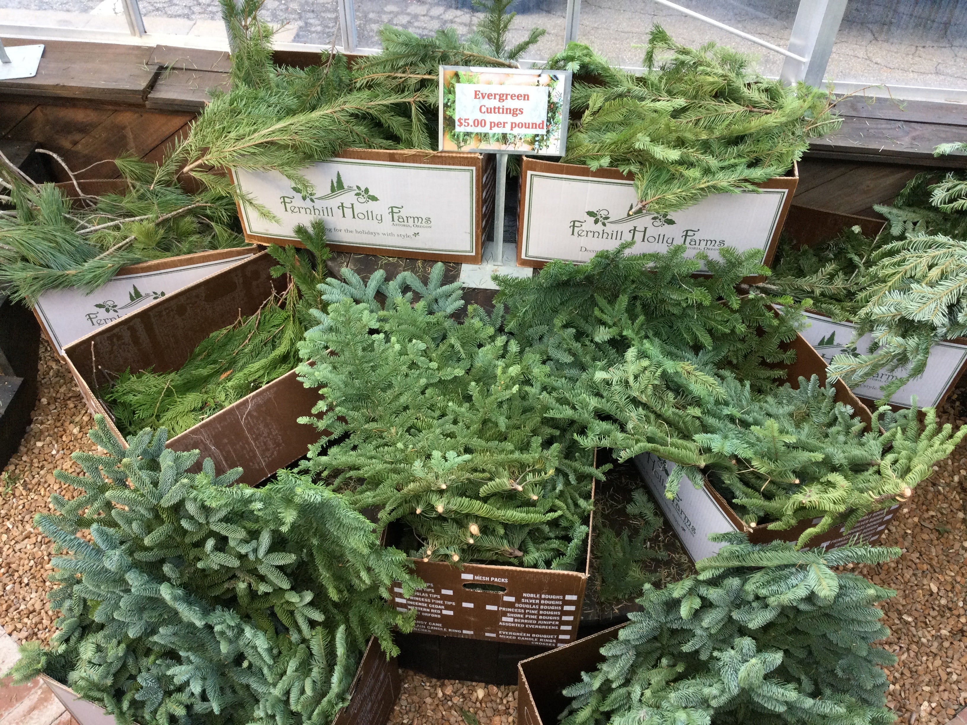 Evergreen Cuttings by Pound