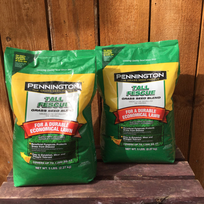 Pennington Tall Fescue Grass Seed