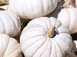 White Pumpkins